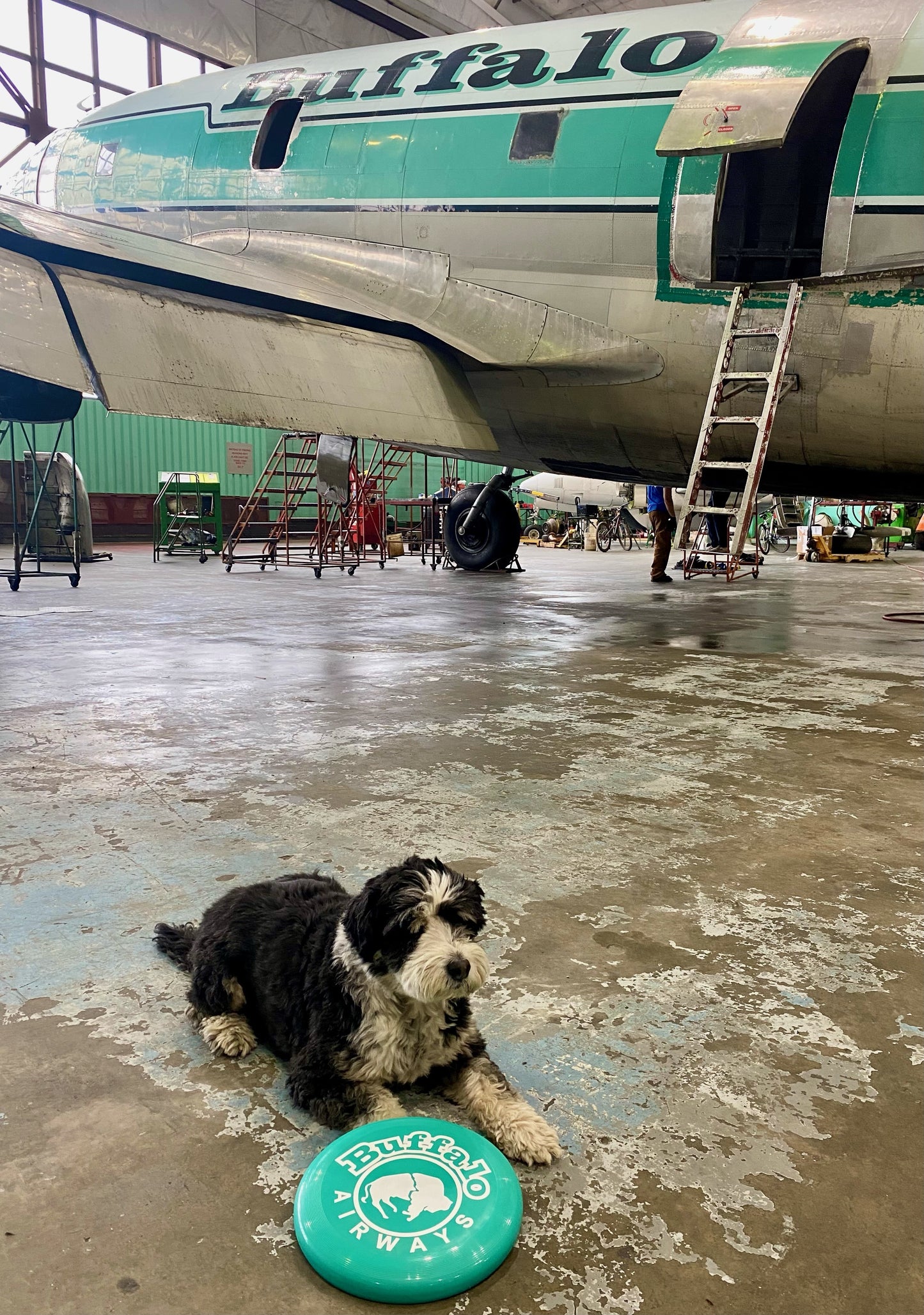 Buffalo Airways Flying Disc